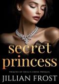 Secret Princess (Princes of Devil’s Creek: Prequel)