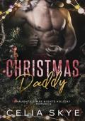 Christmas Daddy (Naughty X-Mas Nights Holiday Romance #2)