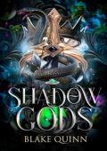 Shadow Gods (Sins of Divinity #1)