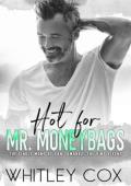 Hot for Mr. Moneybags (The Single Moms of San Camanez: The Vino Vixens #3)