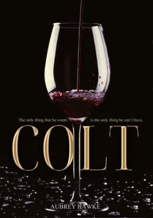 Colt (Fowler Enterprise #1)