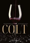 Colt (Fowler Enterprise #1)