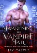 Awakening His Vampire Mate (Blood Bonded Mates #6)
