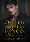 Owned By the Mafia Kings (Alpha Mafia Kings #2)