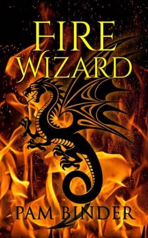 Fire Wizard (The Dragon Curse #1)