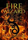 Fire Wizard (The Dragon Curse #1)