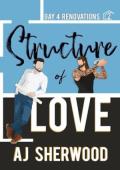 Structure of Love (Gay 4 Renovations #2)