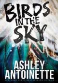 Birds in the Sky (Demi & Charlie #1)