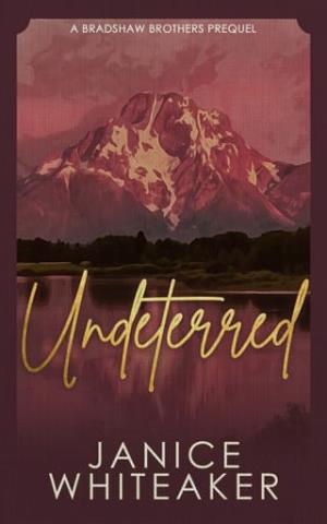 Undeterred (The Bradshaw Brothers)