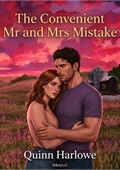 The Convenient Mr and Mrs Mistake