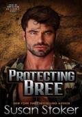 Protecting Bree (SEAL of Protection: Alliance #7)