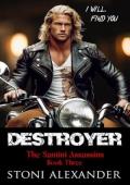 Destroyer (The Santini Assassins #3)
