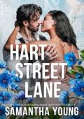 Hart Street Lane (Return to Dublin Street #3)