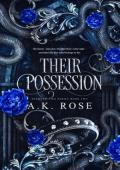 Their Possession (Diamond Ties #2)