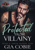 Protected from Villainy (Blade and Arrow Shadow Team #2)