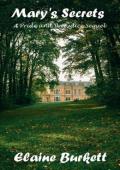 Mary’s Secrets (Pride and Prejudice Sequel)