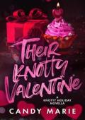 Their Knotty Valentine (Knotty Holiday Novellas #3)