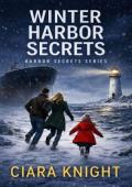 Winter Harbor Secrets (Harbor Secrets #2)