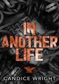 In Another Life (Raven Souls MC #5)