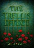 The Trellis Effect