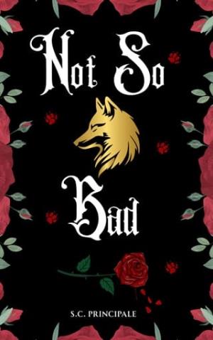 Not So Bad (Pine Ridge Universe #24)