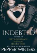 Indebted #1-3: Boxed Set