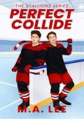 Perfect Collide (The Stallions)