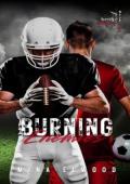 Burning Enemies (Burning Torments #2)