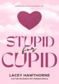 Stupid for Cupid (Hot for the Holidays #2)