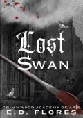 Lost Swan (Grimmwood Academy of Arts #1)