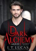 Dark Alchemy: Catch 22 (The Children Of The Gods #104)