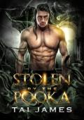 Stolen By the Pooka (Midnight Hour Mates #1)