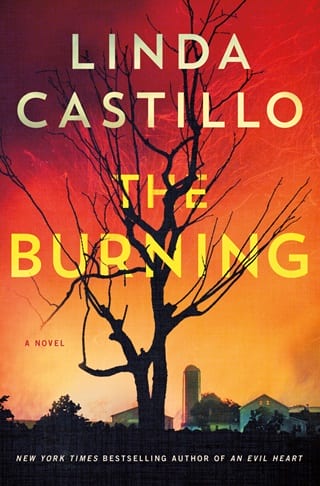 The Burning (Kate Burkholder #16)