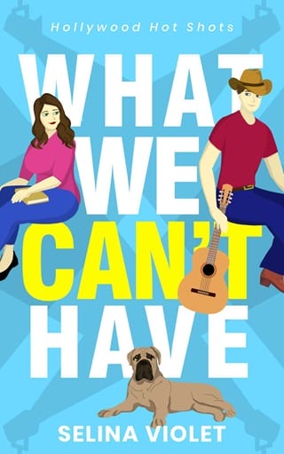 What We Can’t Have (Hollywood Hot Shots #1)