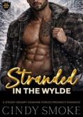 Stranded in the Wylde (Wylde Mountain Rescue #1)