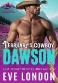 February’s Cowboy Dawson (Cowboys of Mustang Mountain #2)