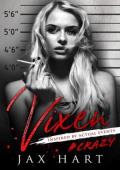 Vixen (The Dangerous Fiction #1)