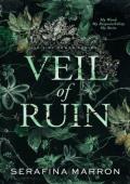 Veil of Ruin (Veil of Power #4)