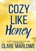 Cozy Like Honey (Bear Shifters of Silver Lake Lodge #1)