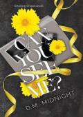 Can You See Me (Chasing Chaos Duet #1)