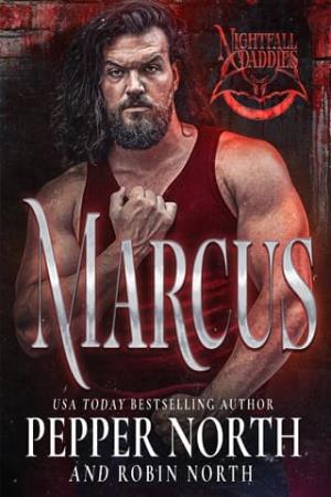 Marcus (Nightfall Daddies #1)