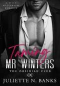 Taming Mr Winters (The Obsidian #3)