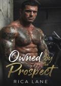 Owned By the Prospect (Broken Halos Motorcycle Club #7)