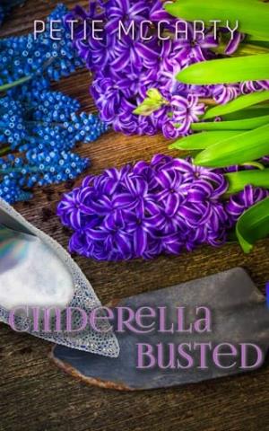 Cinderella Busted (The Cinderella Romances #1)