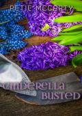 Cinderella Busted (The Cinderella Romances #1)