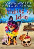 Fetching a Felony (Country Cottage Mysteries #32)
