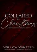 Collared for Christmas (Highest Bidder)