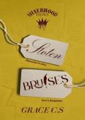Stolen Bruises (Silverwood Heirs #1)