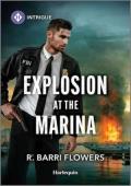 Explosion at the Marina (Criminal Case Files #1)
