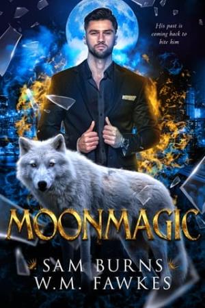 Moonmagic (Witchwolf #2)